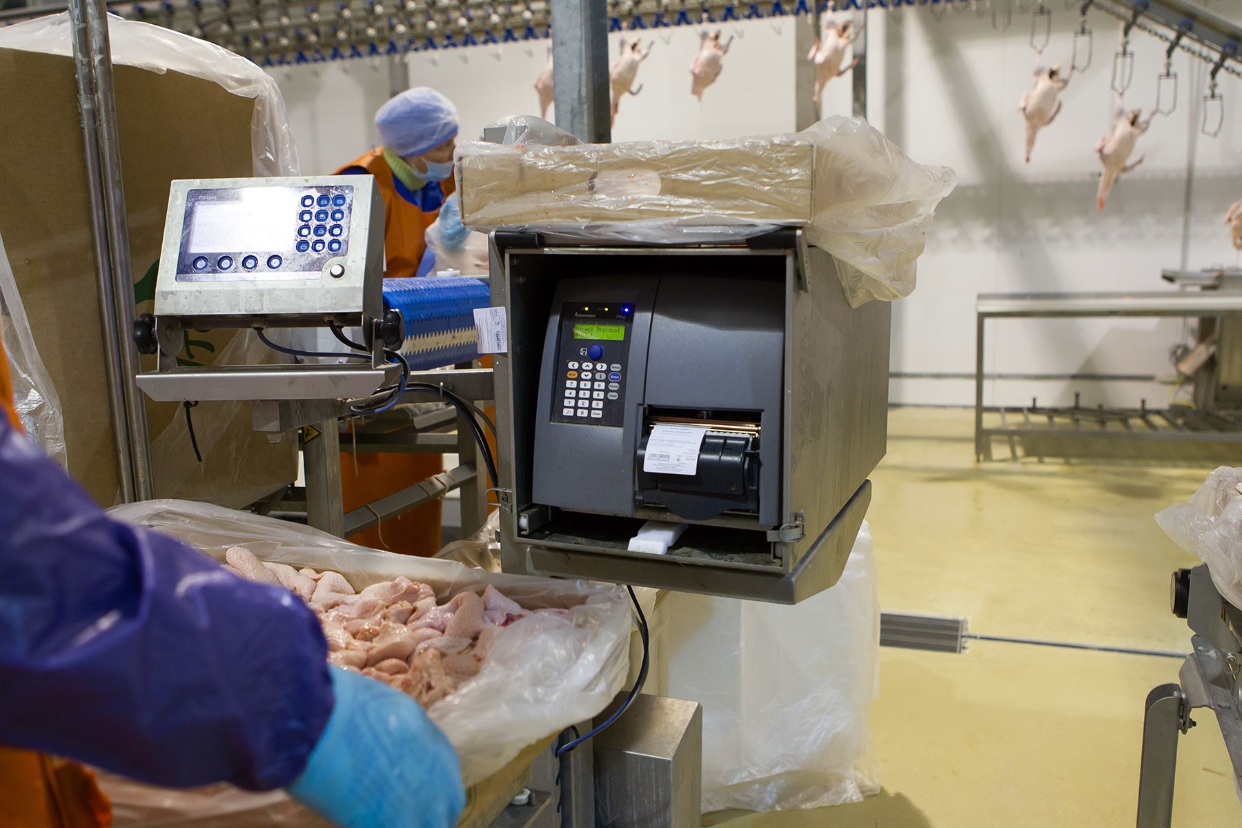 Poultry Batching Solutions Marel - Creative Sunset Wallpaper - 4K