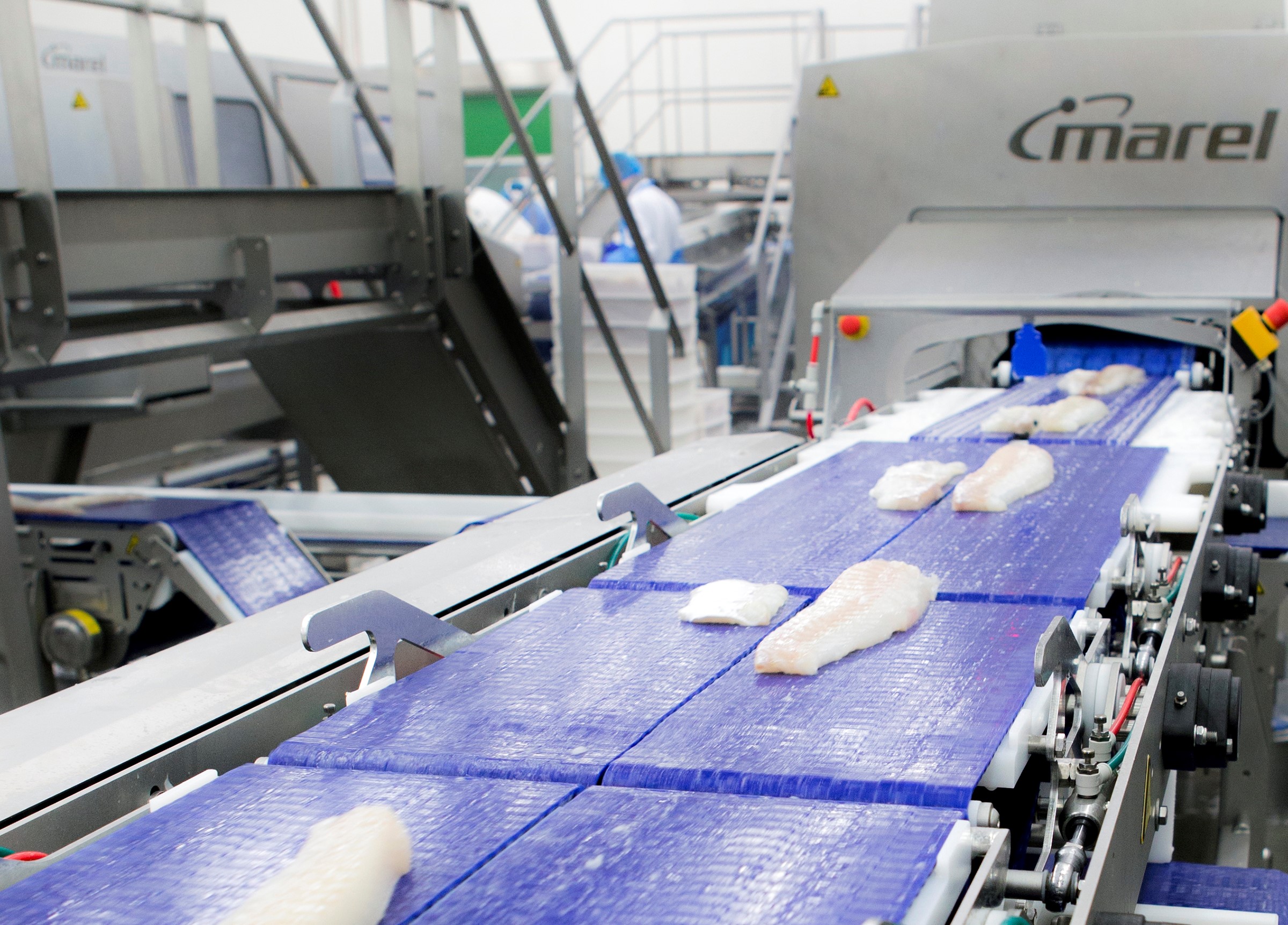 Fish Processing Products Solutions Marel - Best Abstract Patterns in 4K