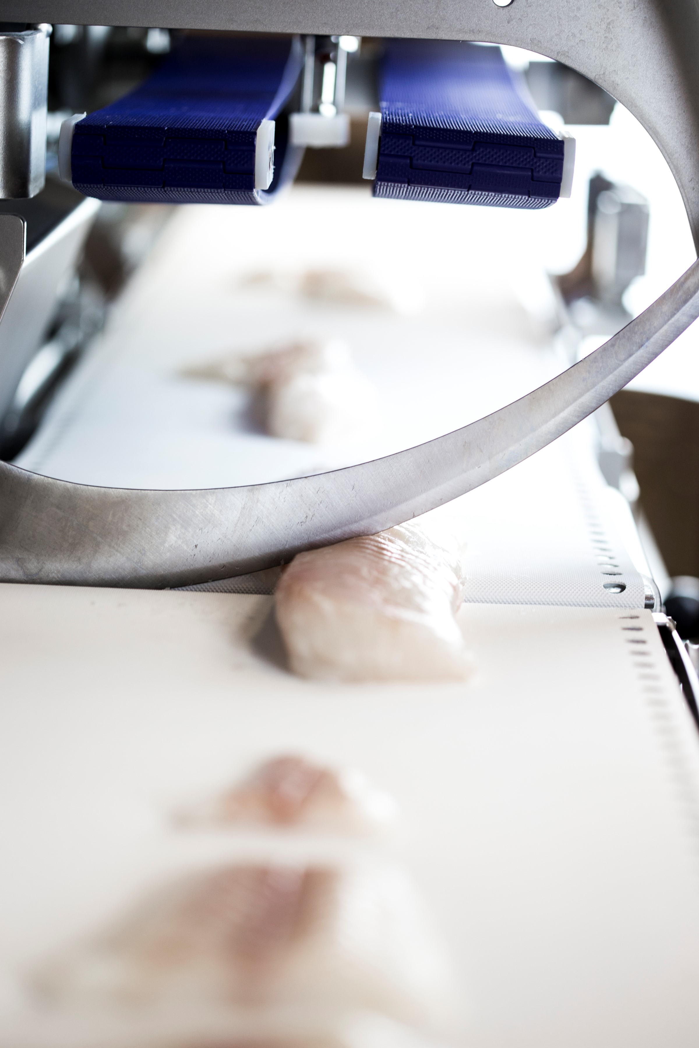 Portioning Cutting Solutions For Fish Processing Marel - Nature Designs - High Quality HD Collection