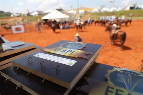 Justiça proíbe realização de provas no rodeio da 43ª Efapi em PG para evitar maus-tratos aos animais