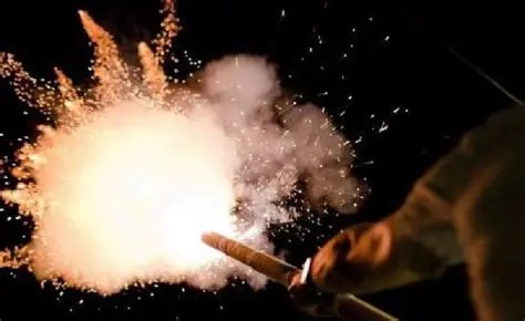 Lei reforça proibição de fogos de artifício com estampido em Ponta Grossa
