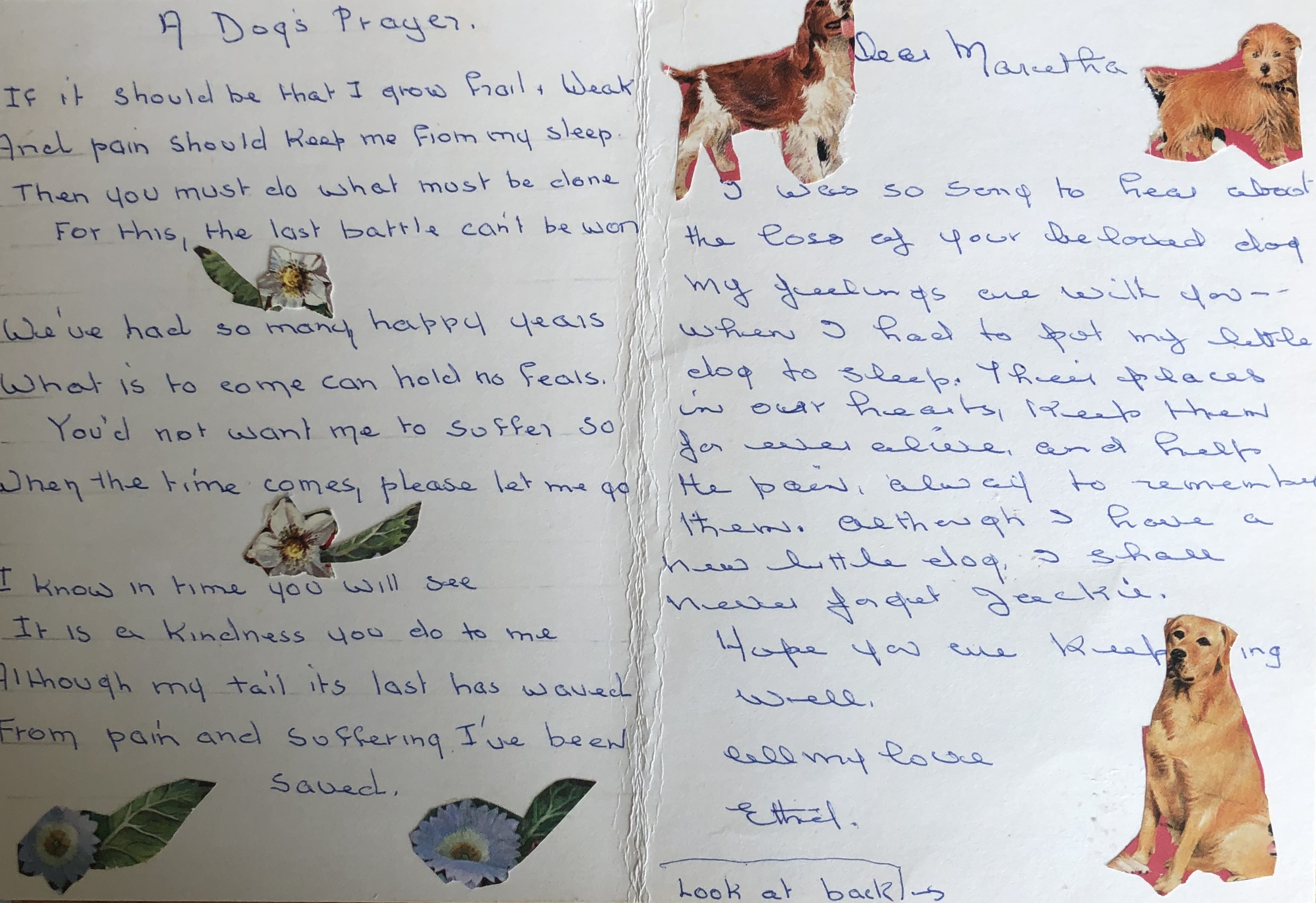 425DD678-3DFD-497E-8FF0-30D48FA6B0BF