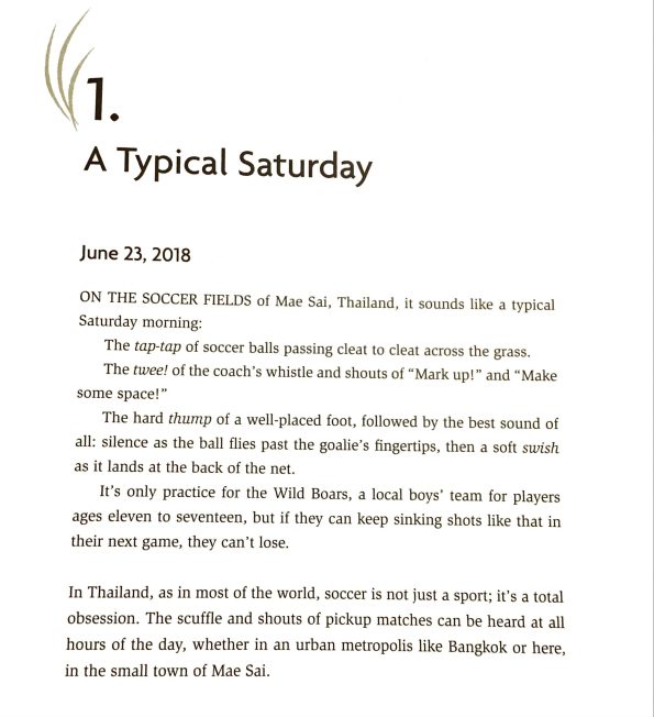 opening paragraphs of a book