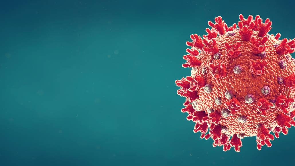 article featured image