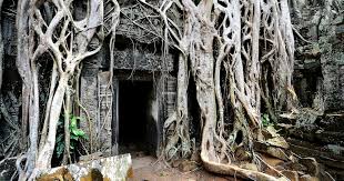 हमारे लिए पुनरुत्थान का क्या अर्थ है