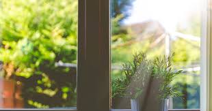 आप यीशु ही की खोज कर रहे हैं