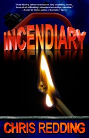 2012 Incendiary300