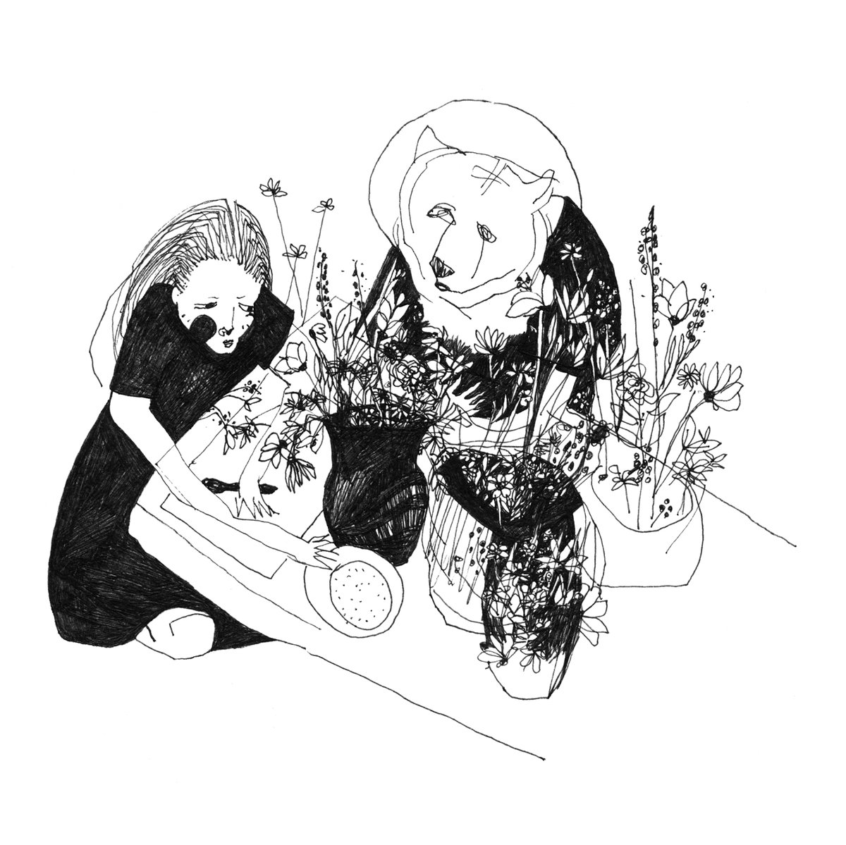 Cover - Bärenmann Album - Bergen