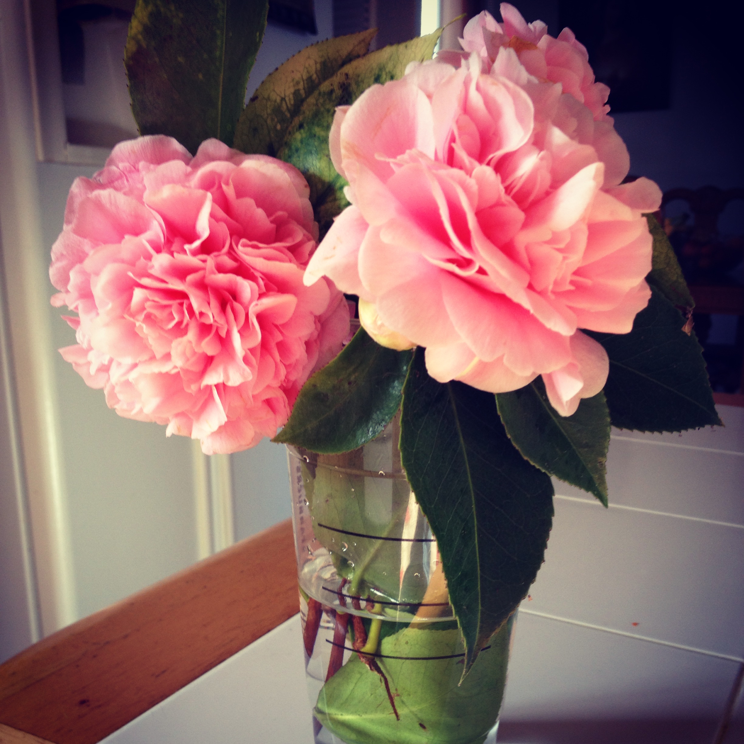 moms flowers