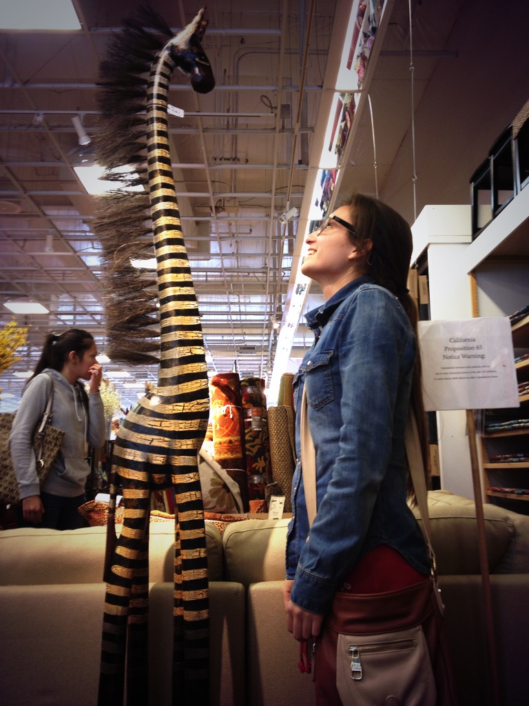 Shopping For Giraffes