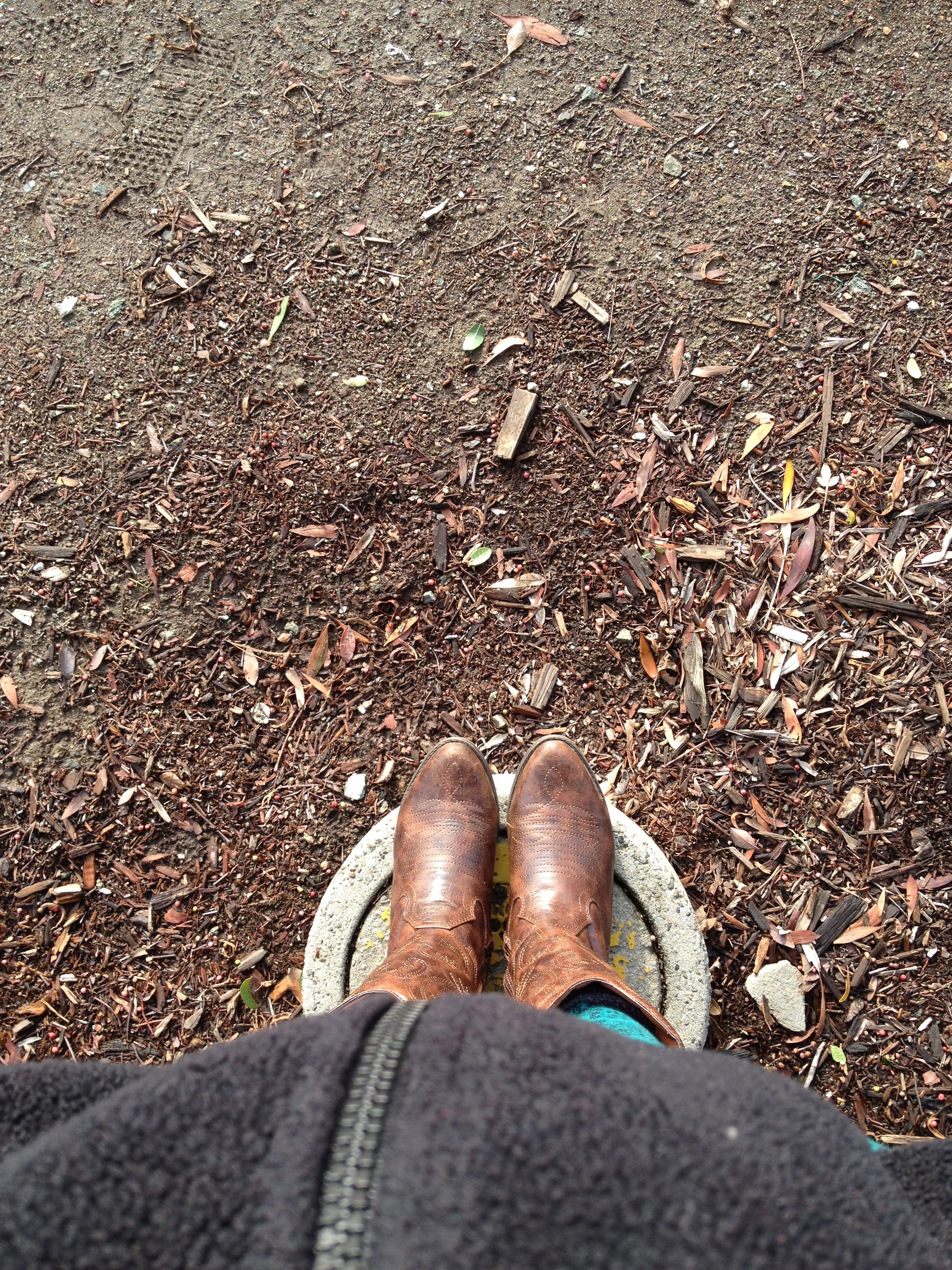 Cowboy boots