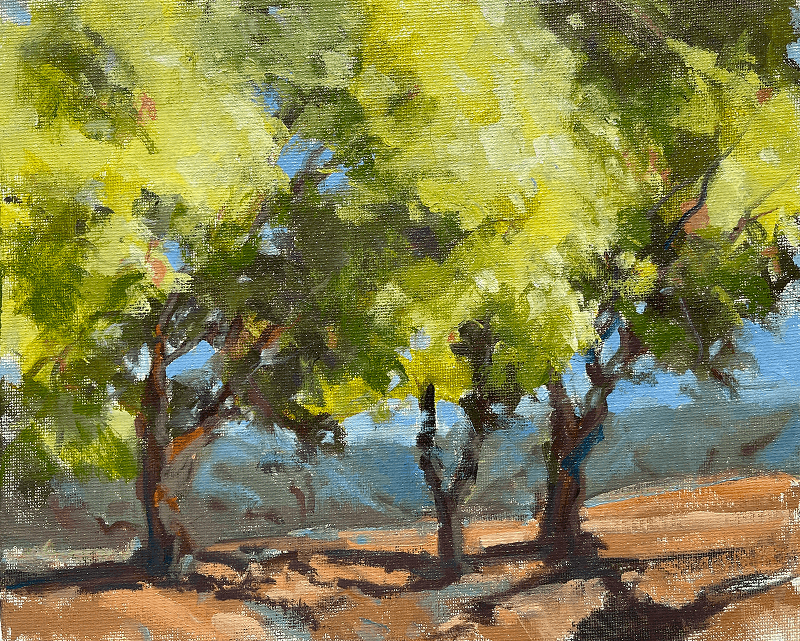 Sketch of Trees, Oils, 8” x 10”