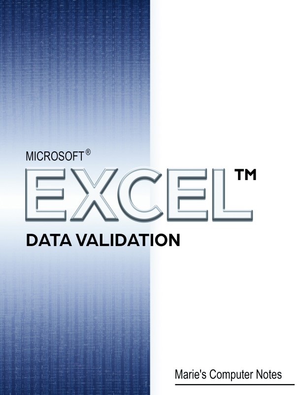 Microsoft Excel Data Validation Book