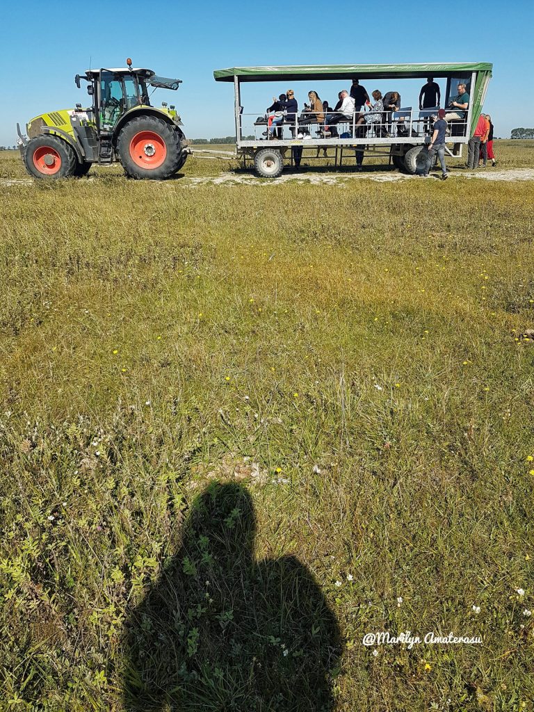 A tractor towing a covered wagon with people seated inside, set against a clear blue sky and grassy landscape.