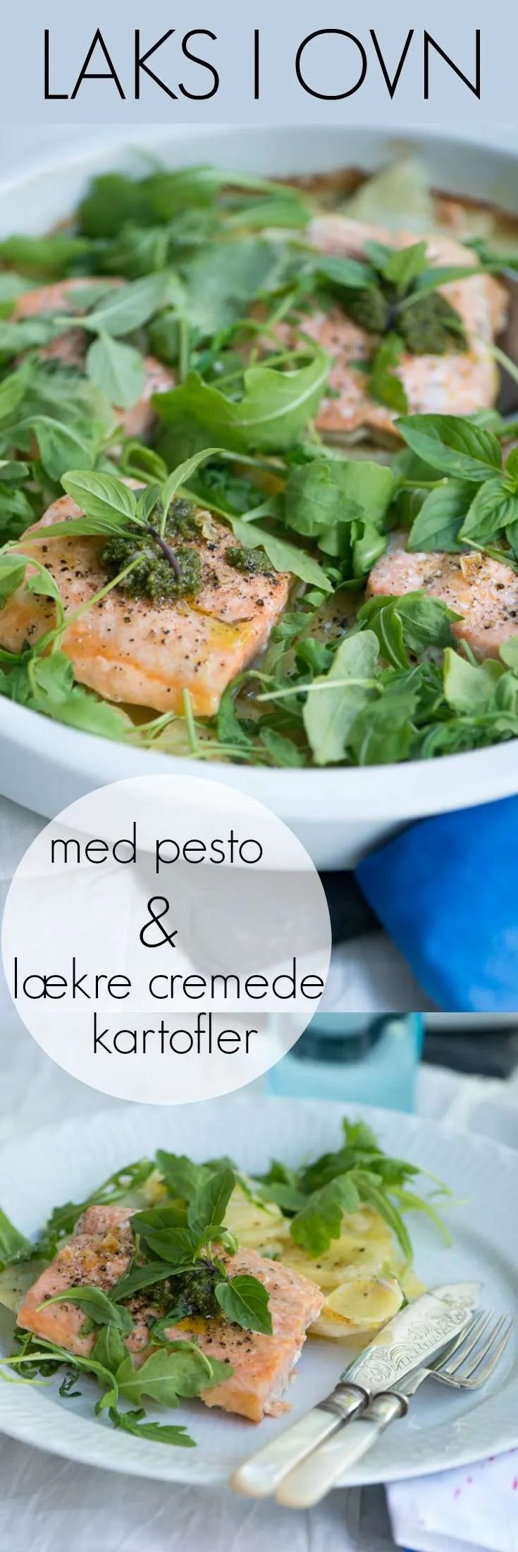 Laks i ovn med cremede kartofler 6 Laks i ovn med cremede kartofler