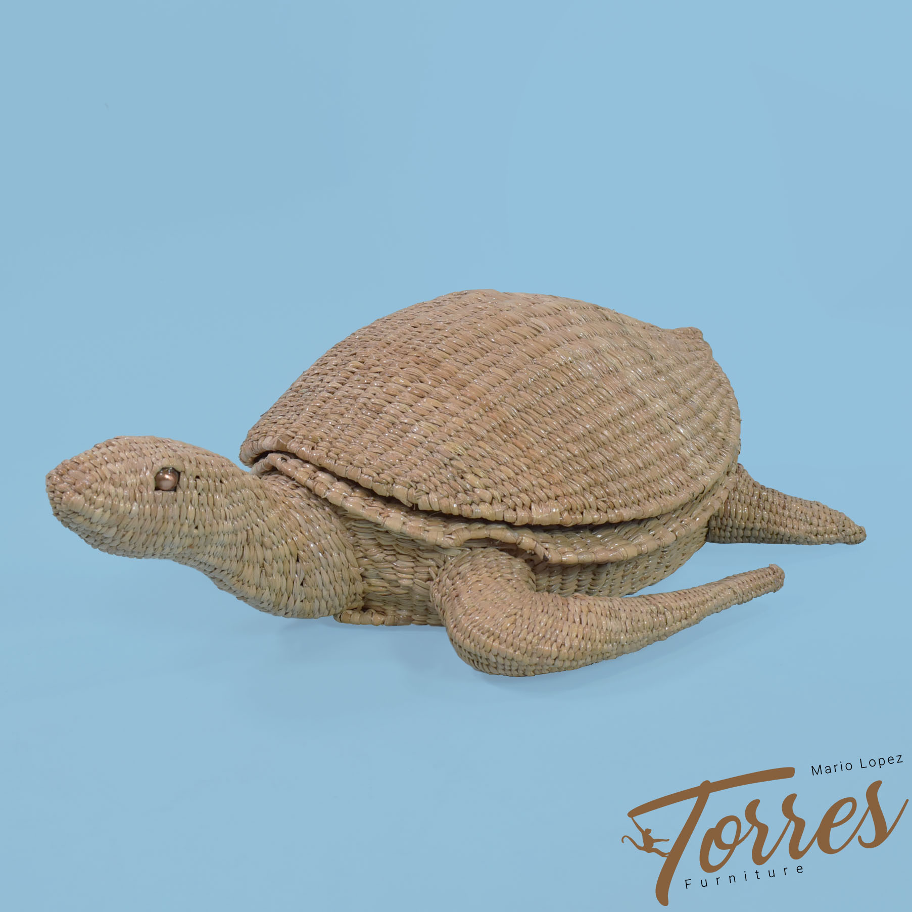 ラフアンドスウェル　 RSM-25213　PABLO OFF TURTLE Turtle by Mario Lopez Torres - Mario Lopez Torres