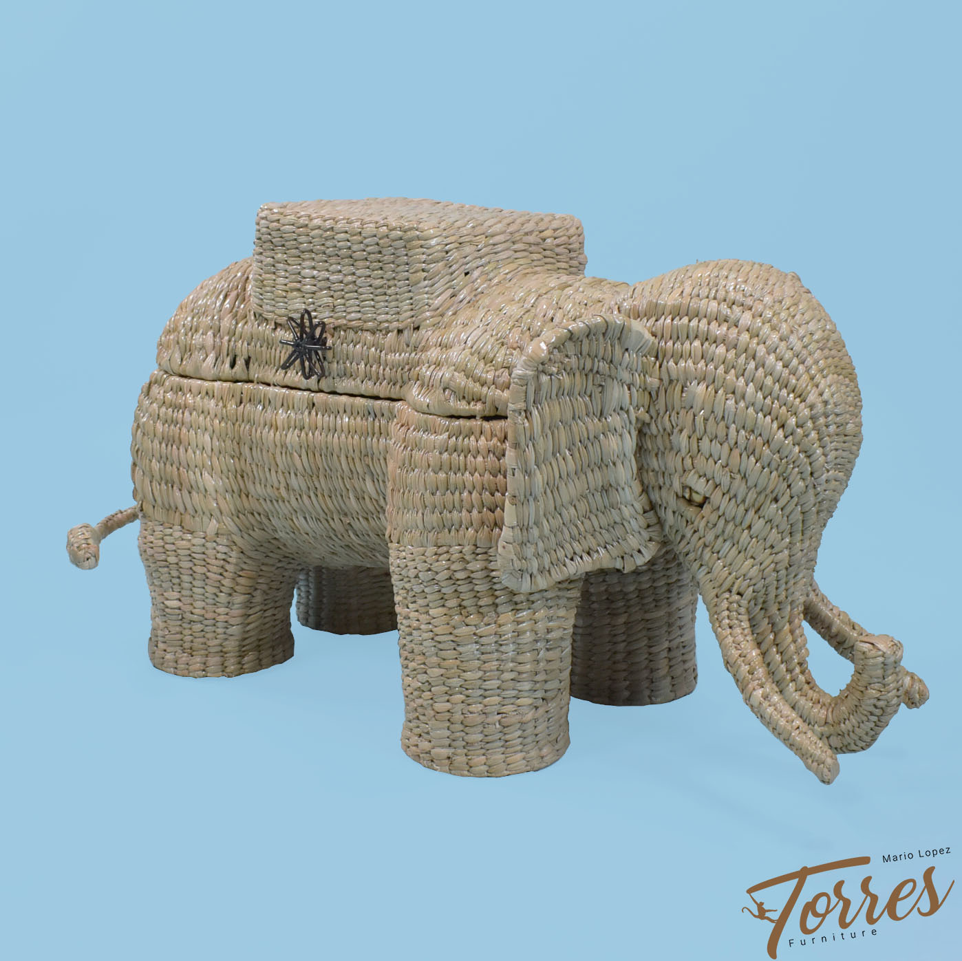 Medium-Elephant-Trunk-by-Mario
