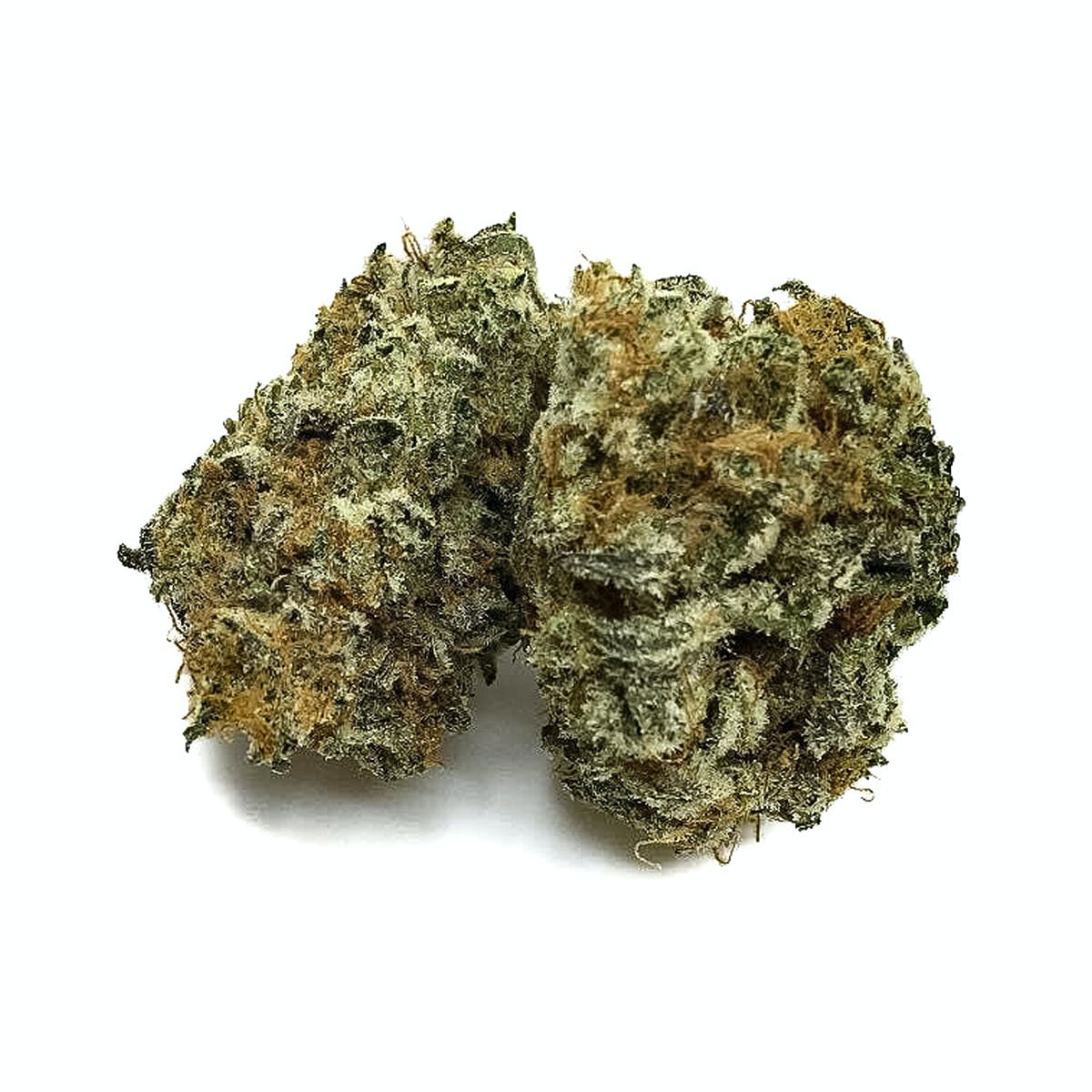 Chocolate Trip Maritime Smoke