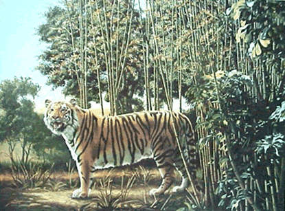 EL TIGRE OCULTO | El Mundo de las Matemáticas