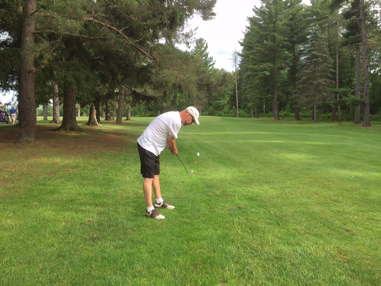 And I hit that overhanging tree.