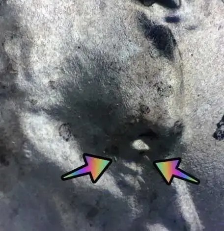 Microscopic image of a 2020 shield penny with arrows noting the feeder finger errors near Lincoln's eye.