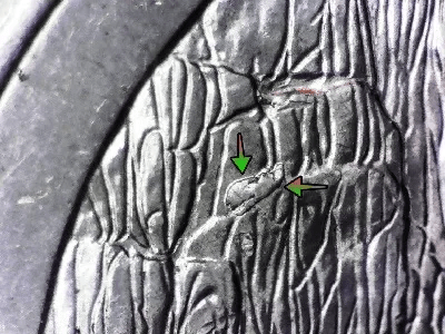 microscopic image of 2018-P Minnesota Voyageurs National Park Quarter reverse displaying the falling rocks error