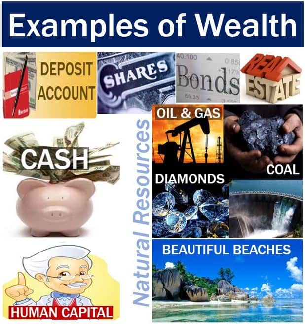 What is wealth? Definition and meaning Market Business News