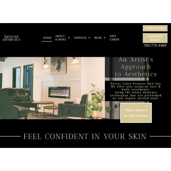 example artistry aesthetics