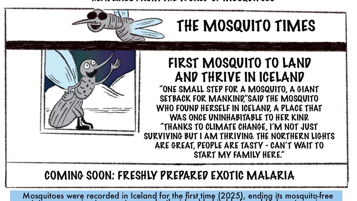 Cartoon series: News from the animal world