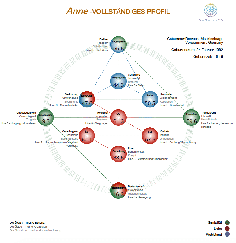 Meine bewusste sonne ist in tor 41 und mein inkarnationskreuz ist das linke kreuz des alpha. Human Design Profile Planeten Linien Und Inkarnationskreuz