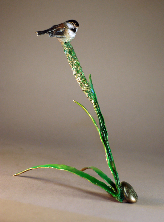 Spring Perch