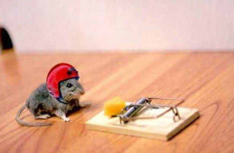 Determined2