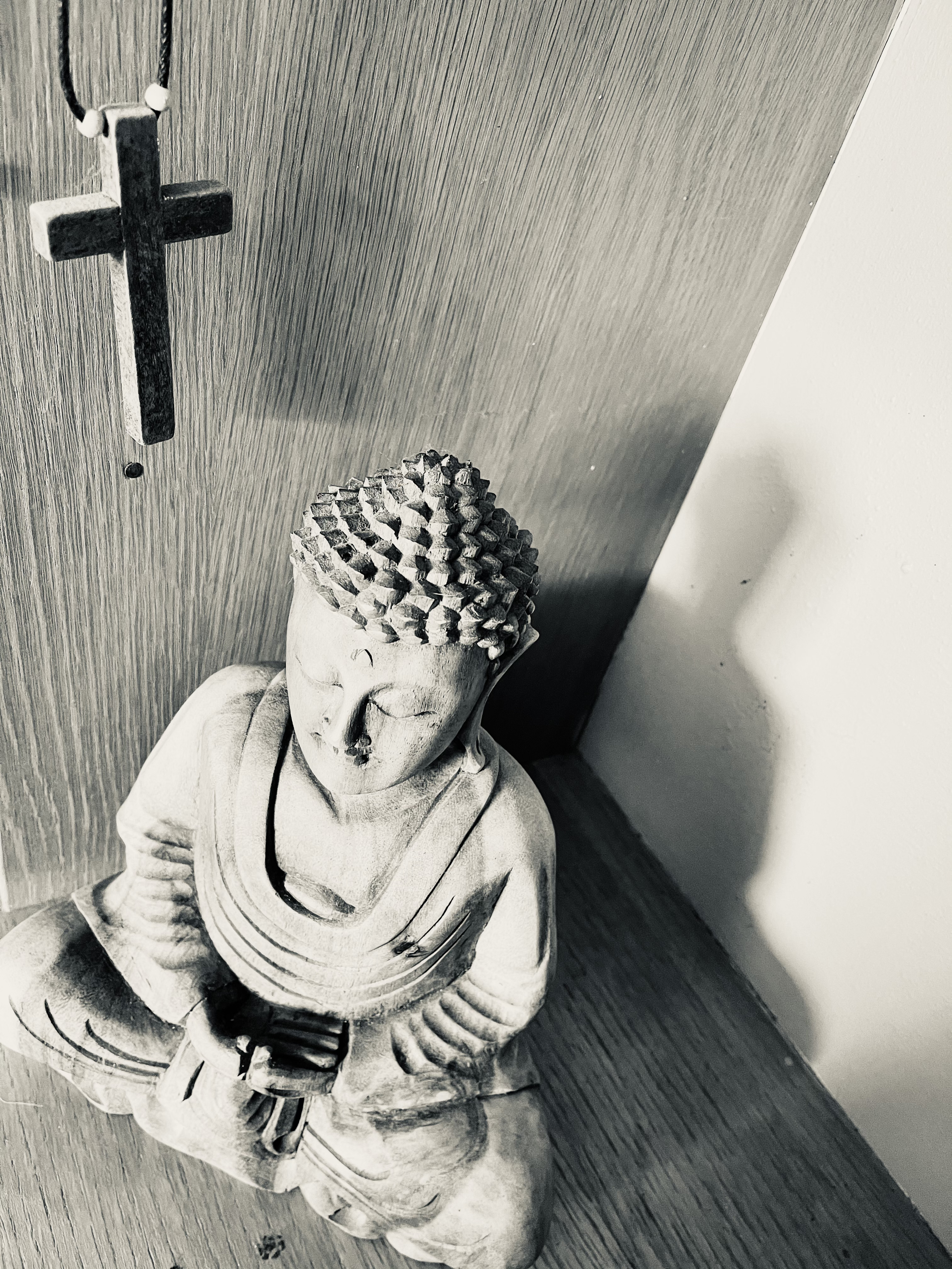 Depression and anxiety healing courses