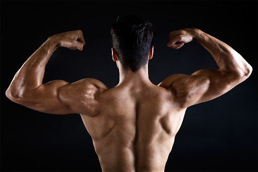 how to build muscle