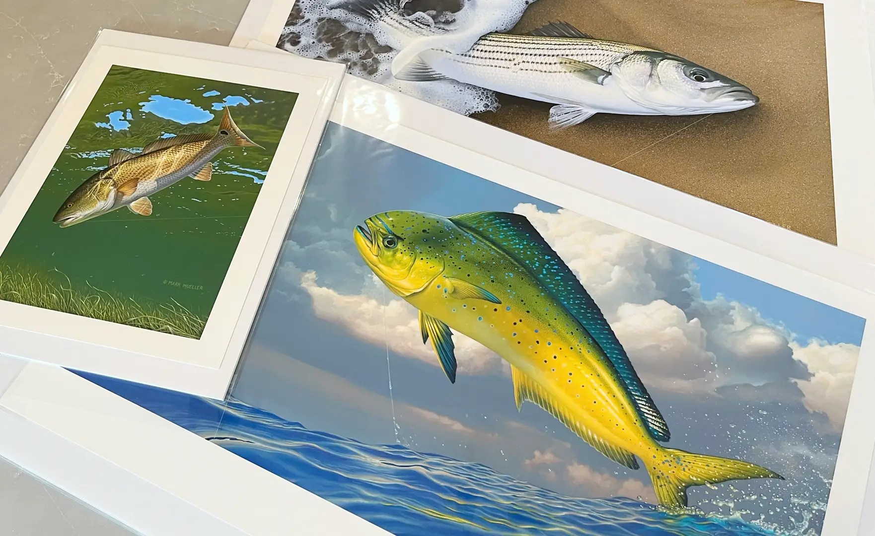 Fine Art Prints