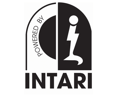 Intari: Intuitive Artificial Intelligence