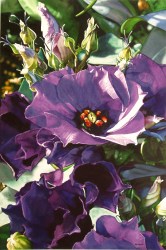 flowers watercolor paintings floral painting marlin artist rotach flower realistic watercolour prairie artists kansas pride famous watercolours aquarelle fineartblogger realism