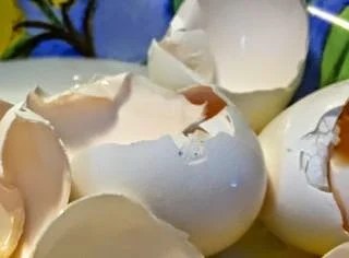 egg shells in a plate.