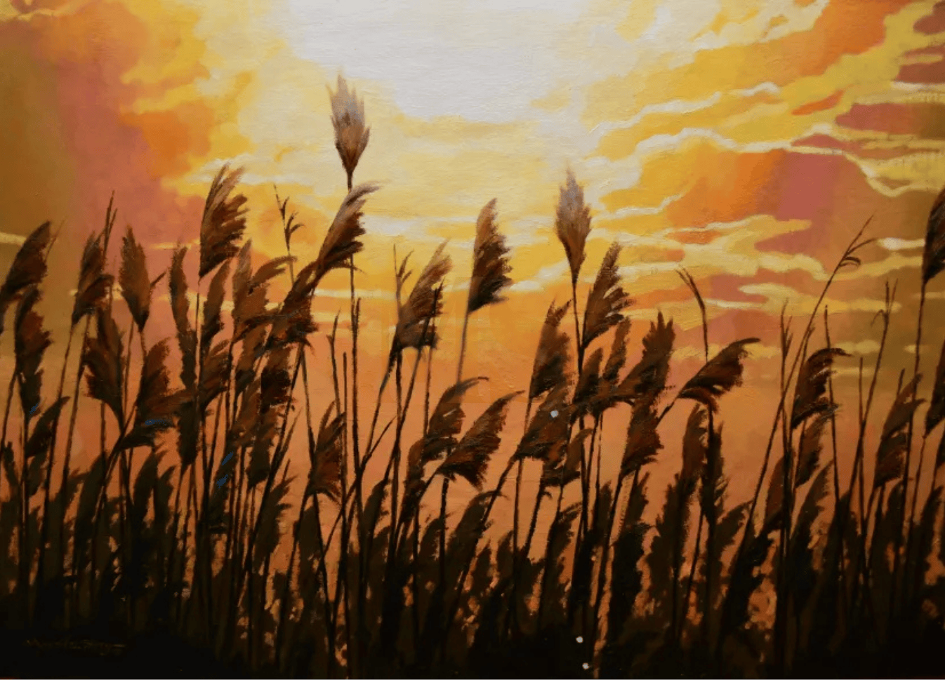 Phragmits, Sunrise