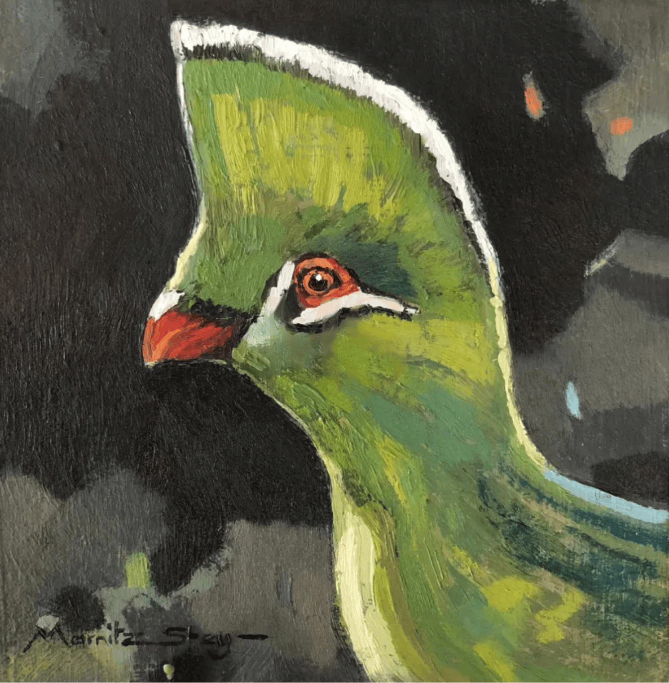 Knysna Turaco - 1 of 2