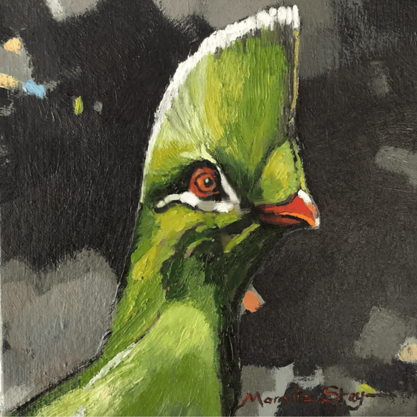Knysna Turaco - 2 of 2