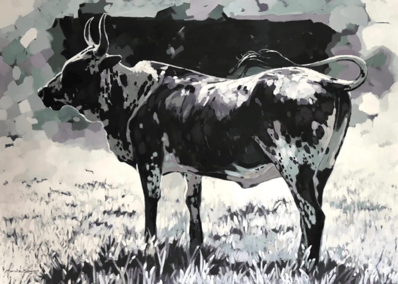 Nguni Cattle