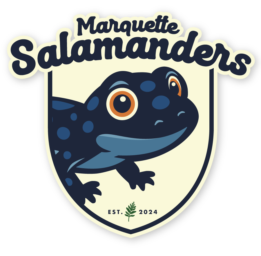 Marquette salamanders