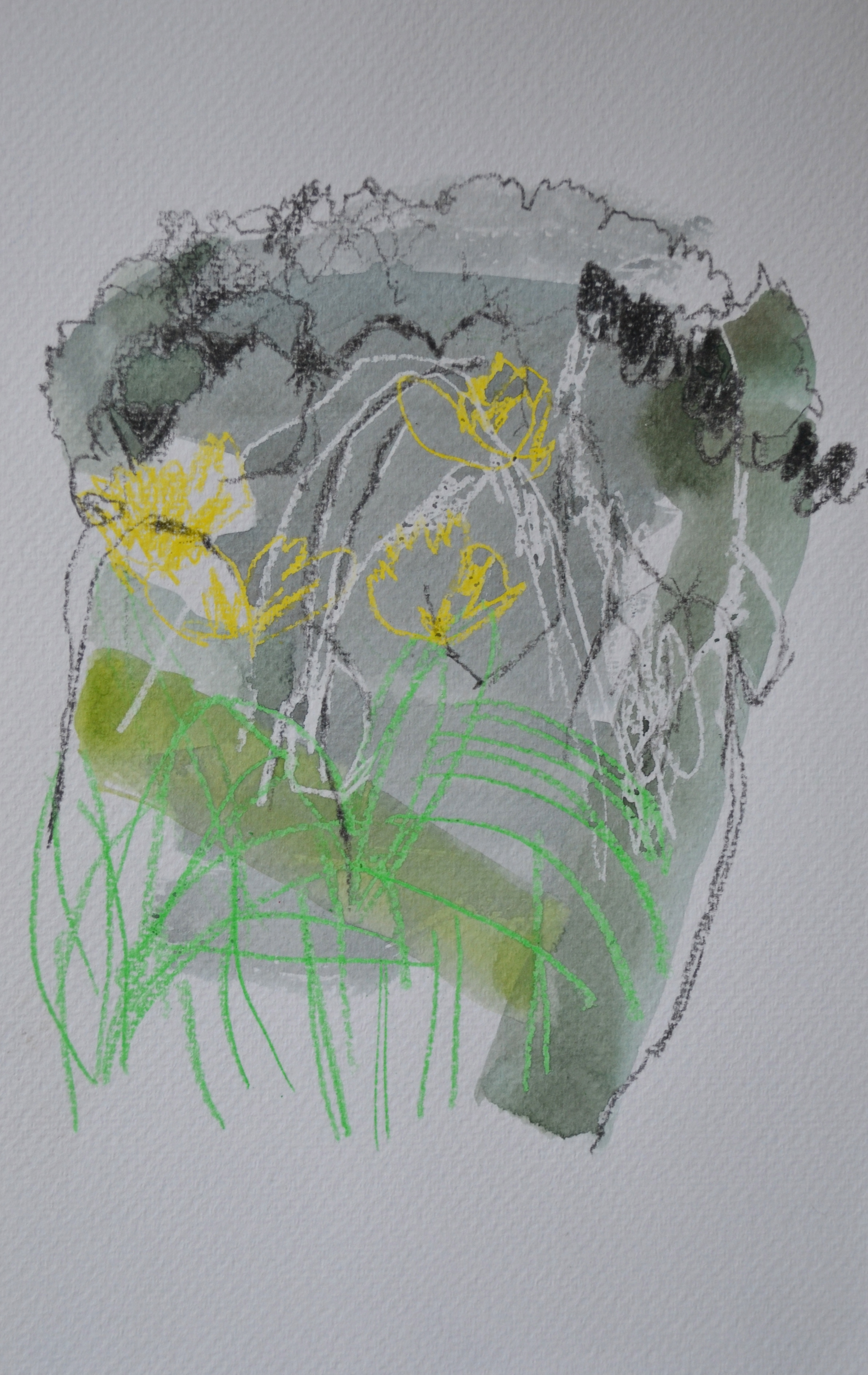 Artwork by Madeleine Cruise. 2015