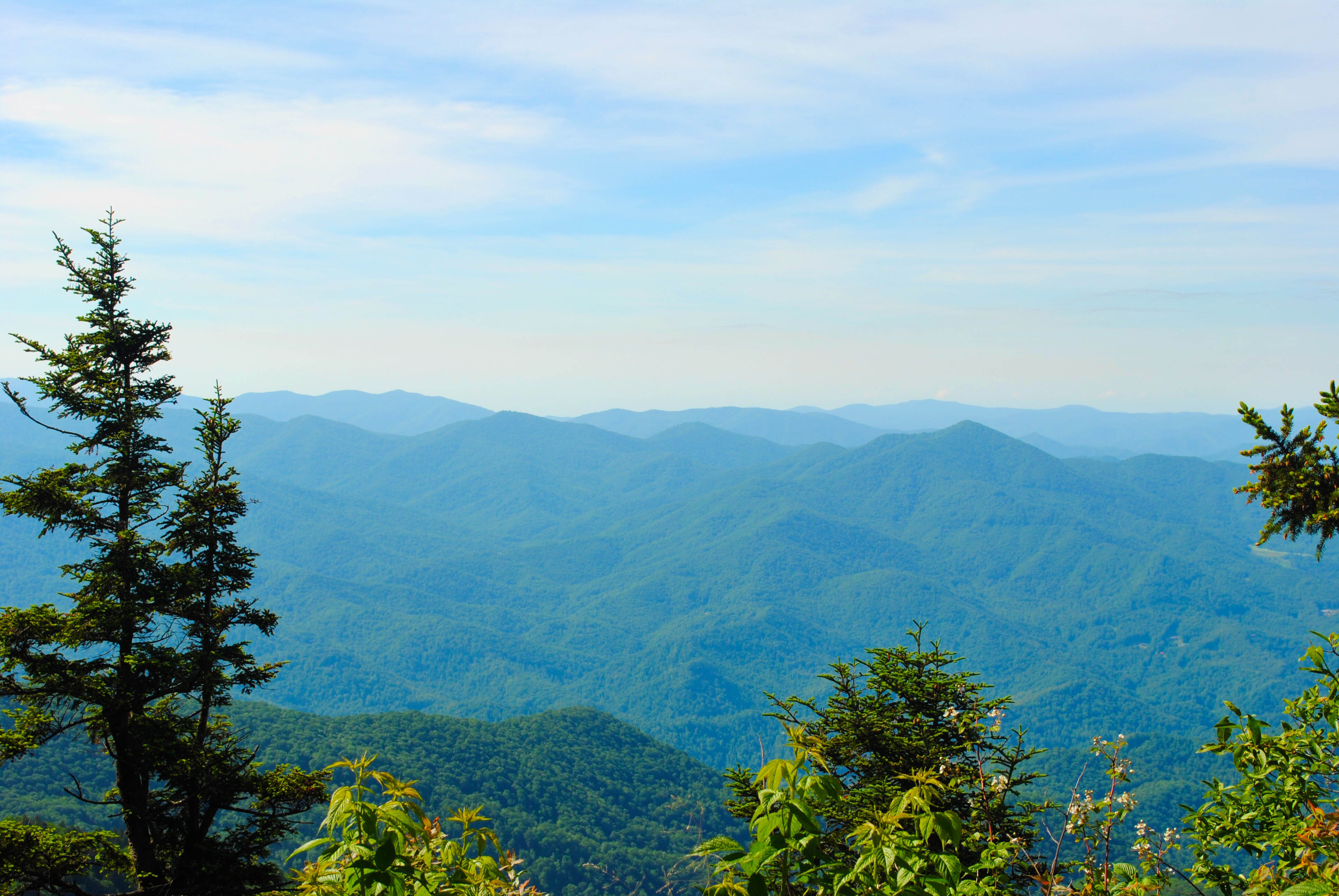 Home to a variety of wooded hideaways and mountain top cabins, the blue ridge area is. Driving the Blue Ridge Parkway in North Carolina - Married
