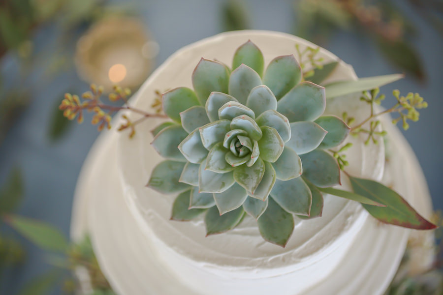 Succulent party favors & plants. Ajf Succulent Cake Topper Nalan Com Sg