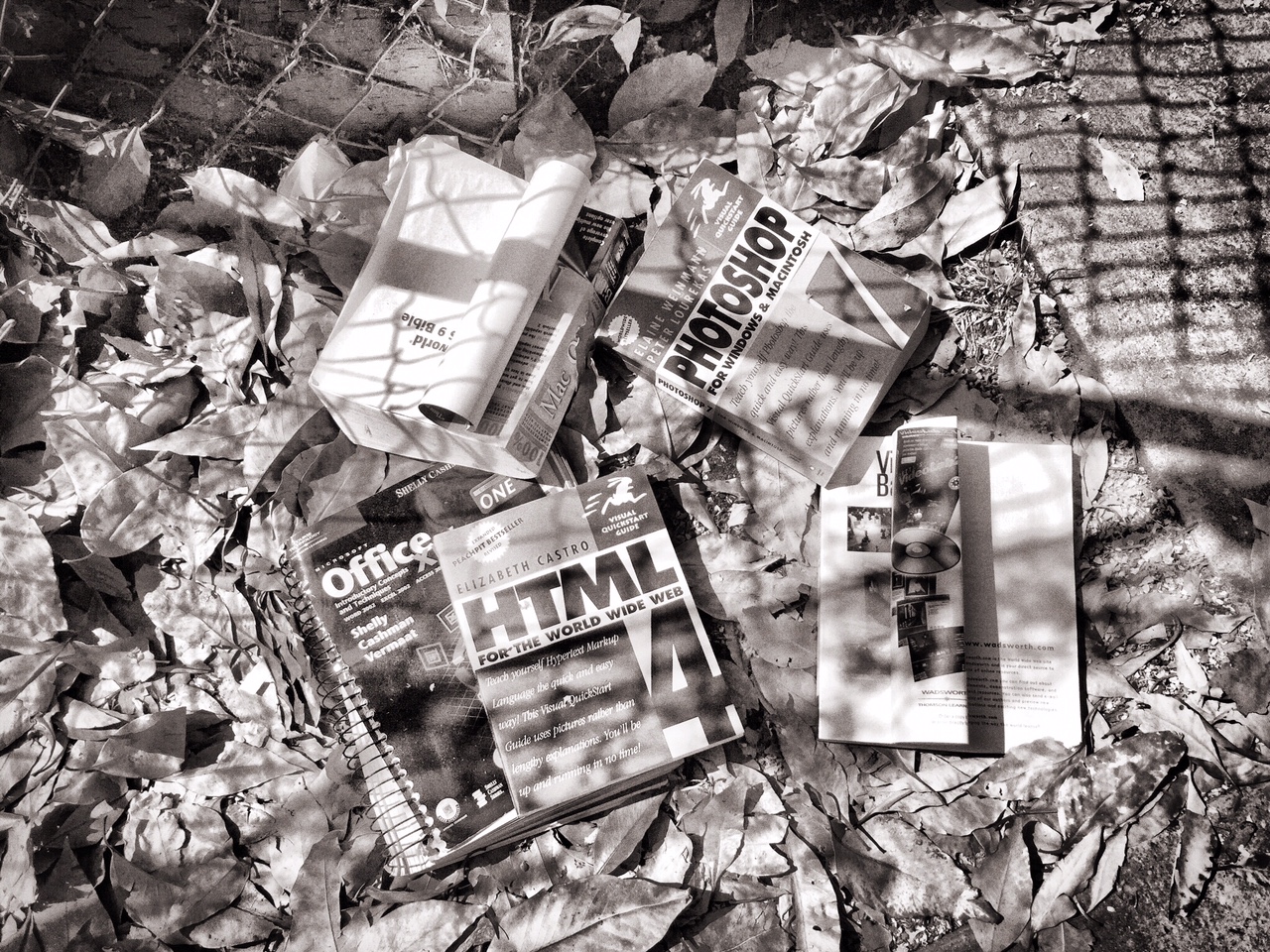 Abandoned Books in San Francisco 2015