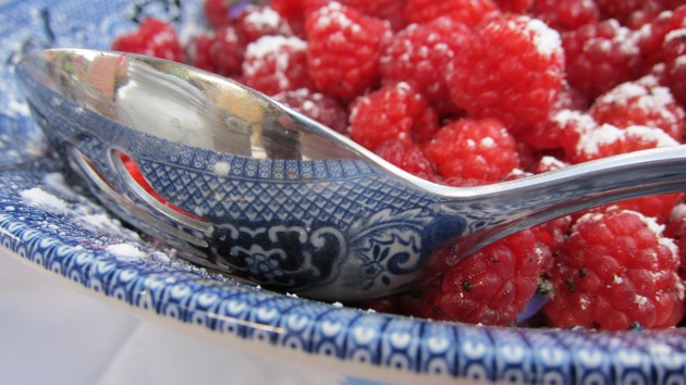 Raspberries for the Summer raspberries in a white and blue bowl with a spoon in it for serving
