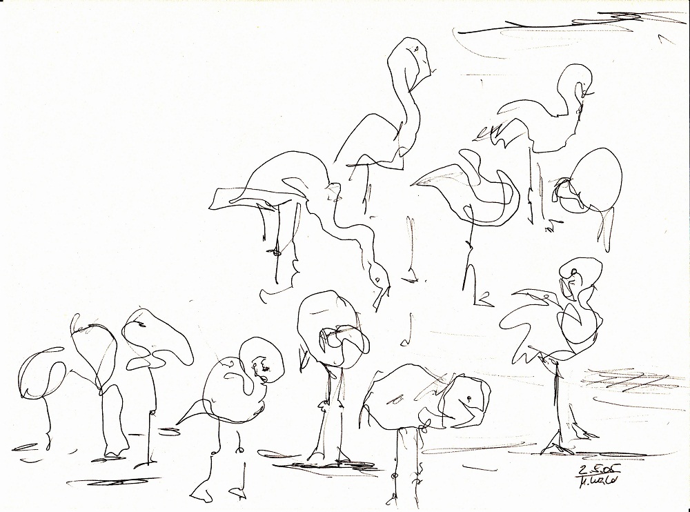 Comics Die Menschliches Verhalten Der Karikatur Menschlicher Zoo Zeichnen 18 Mai Bereich Png Pngegg