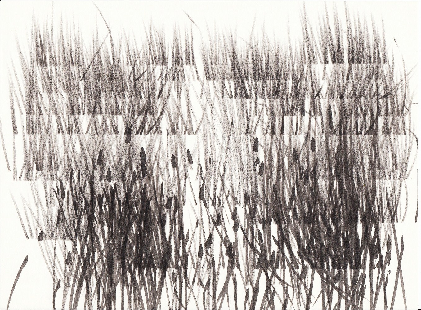 Wandtattoo Gras Wandtattoos Pflanzen Florales